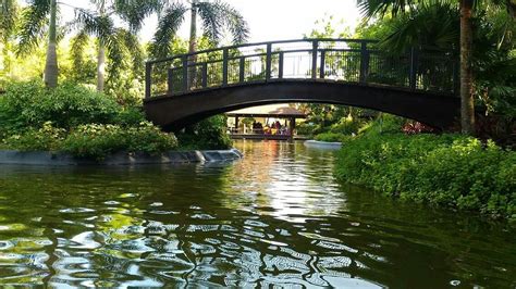nifty pasig photos